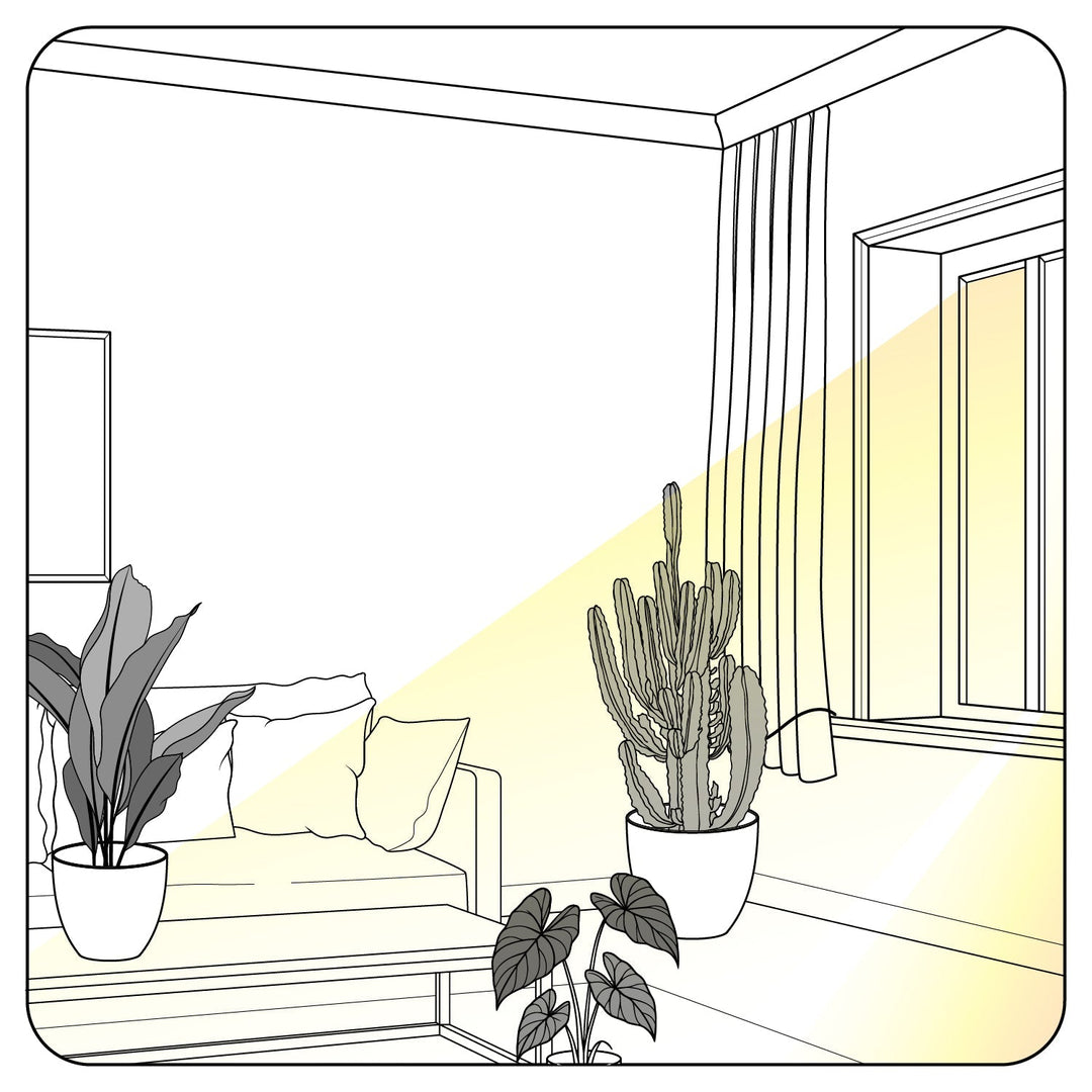 Getting The Light Right