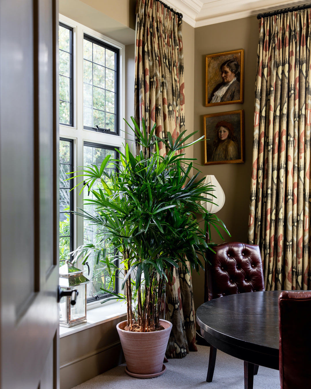 Easy Care Houseplants