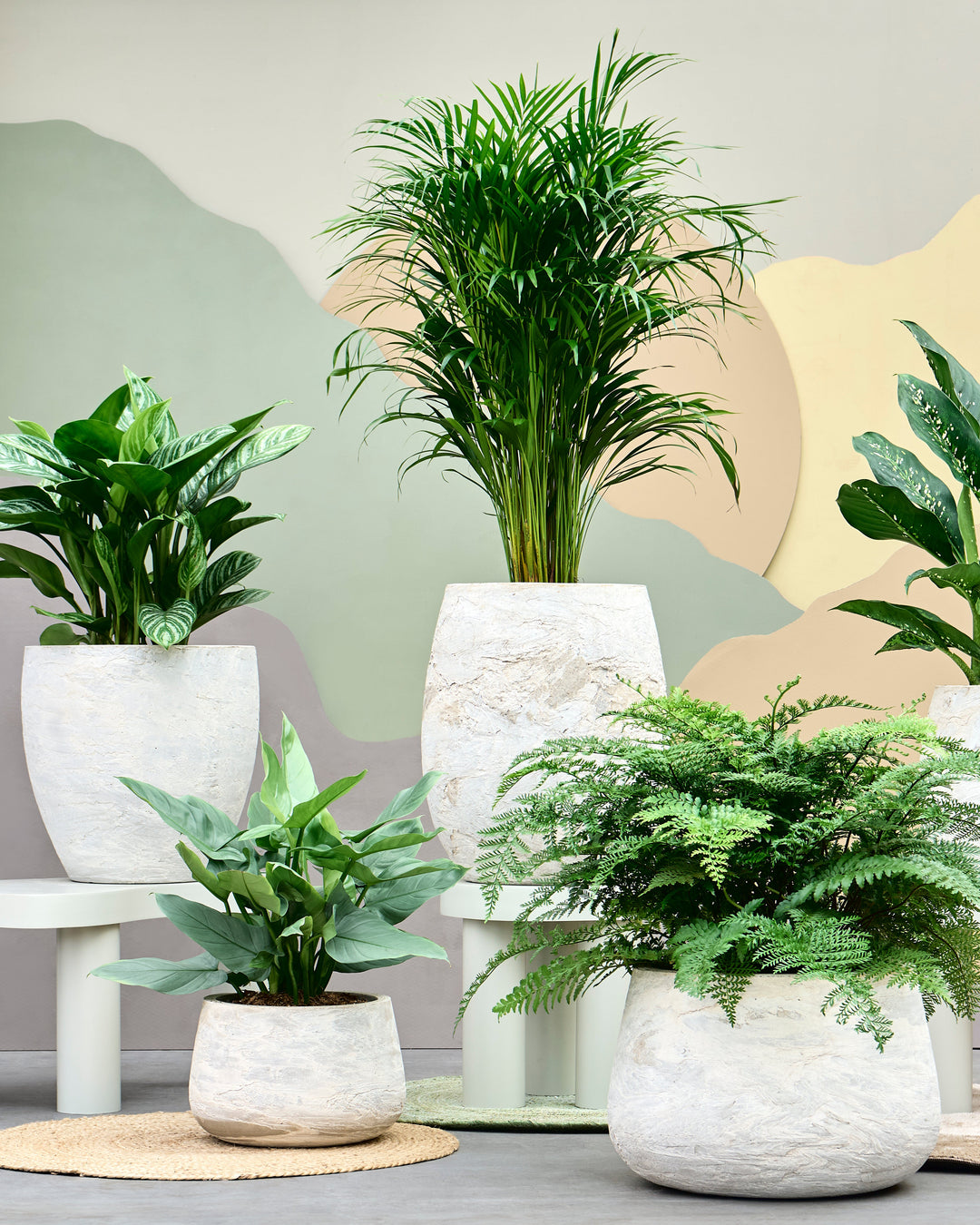 Textural Stone Finish Couple Planter