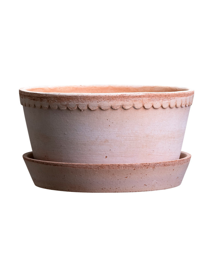 Helena Herb & Bulb Dish