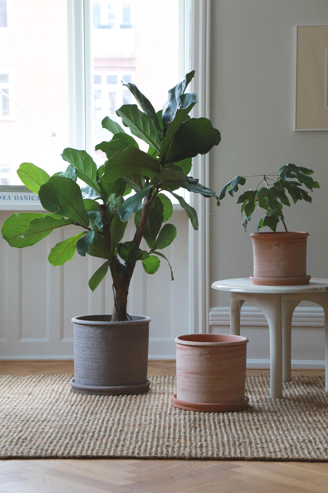 Modena Terracotta Pots