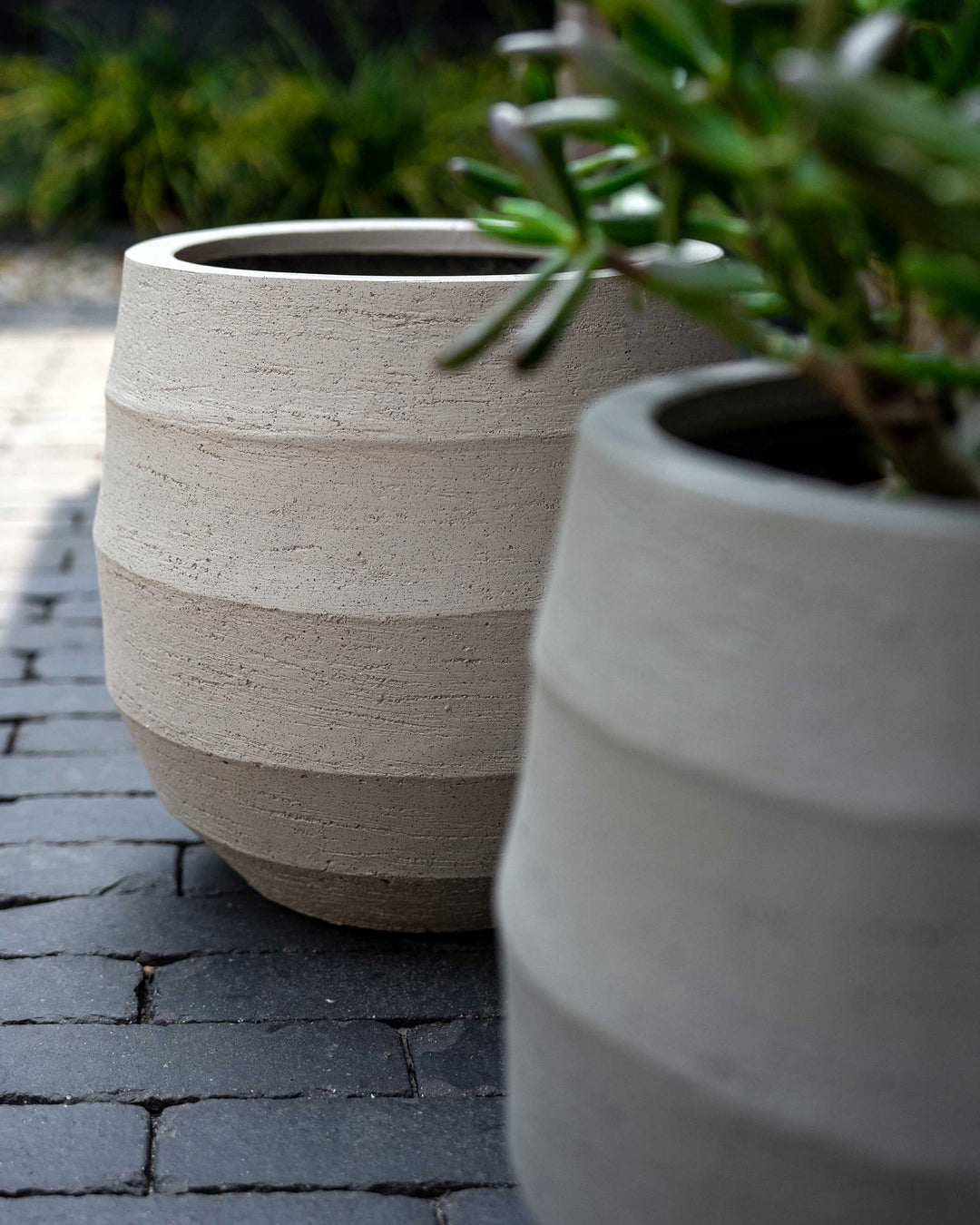 Two large concrete planters with plants on a paved area.