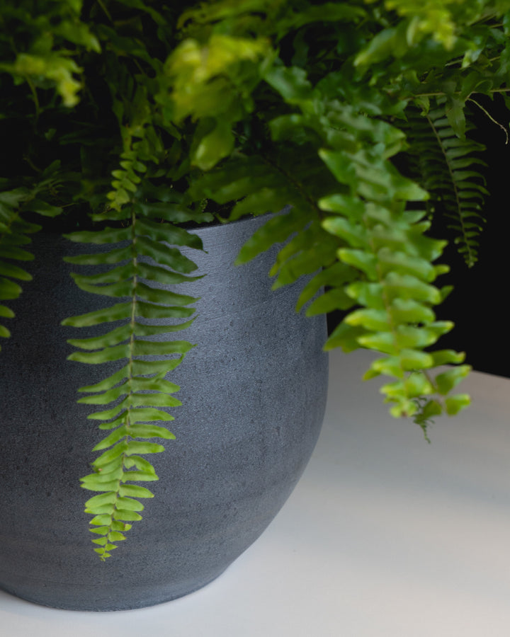 Graphite Pot