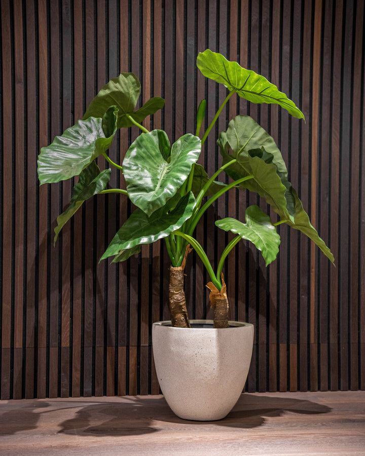 Robust Egg Pot