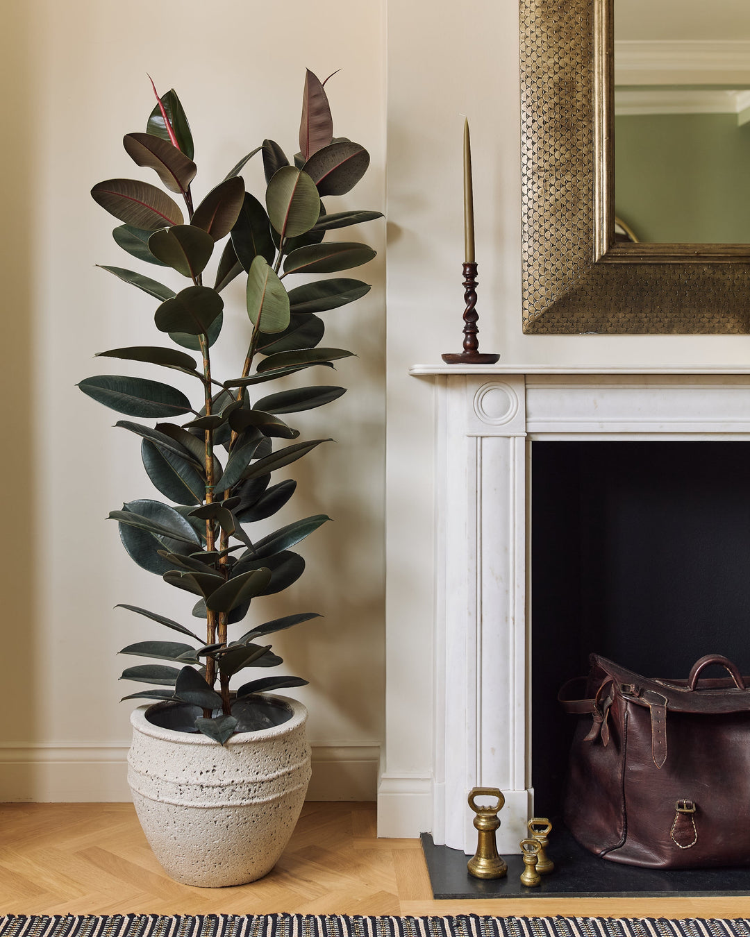 Potted plant next to a fireplace with decorative items