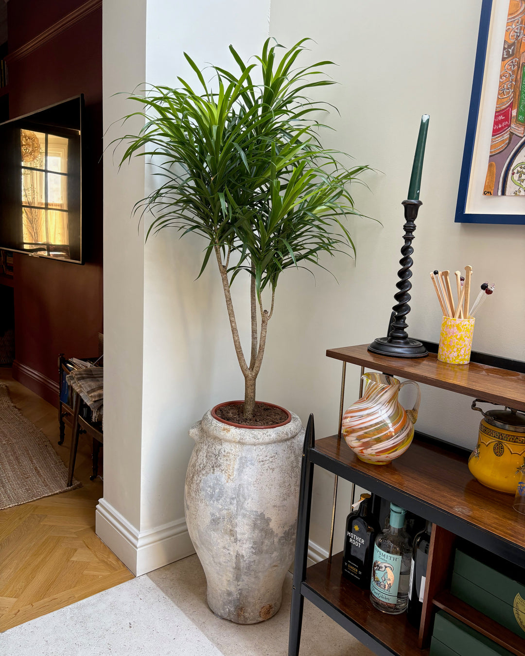 Potted plant next to a wooden shelf with decorative items in a room.