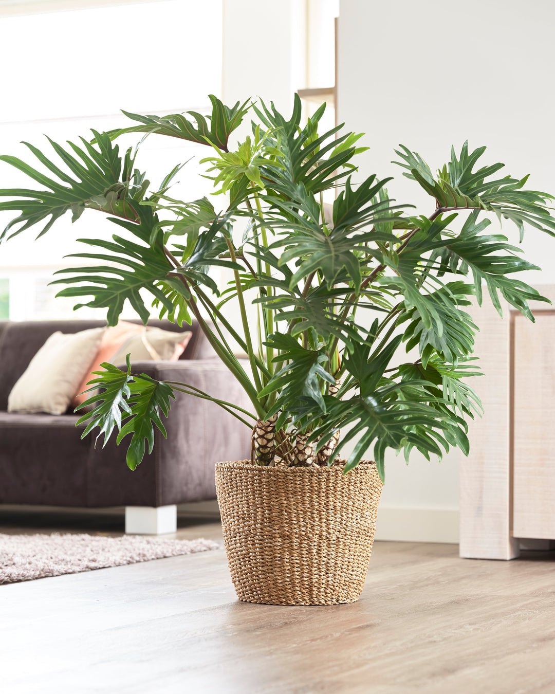 Natural Seagrass Basket