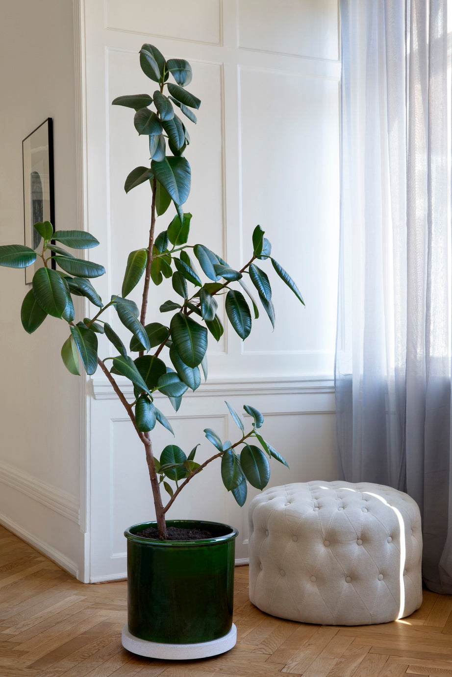 Modena Glazed Green Pots