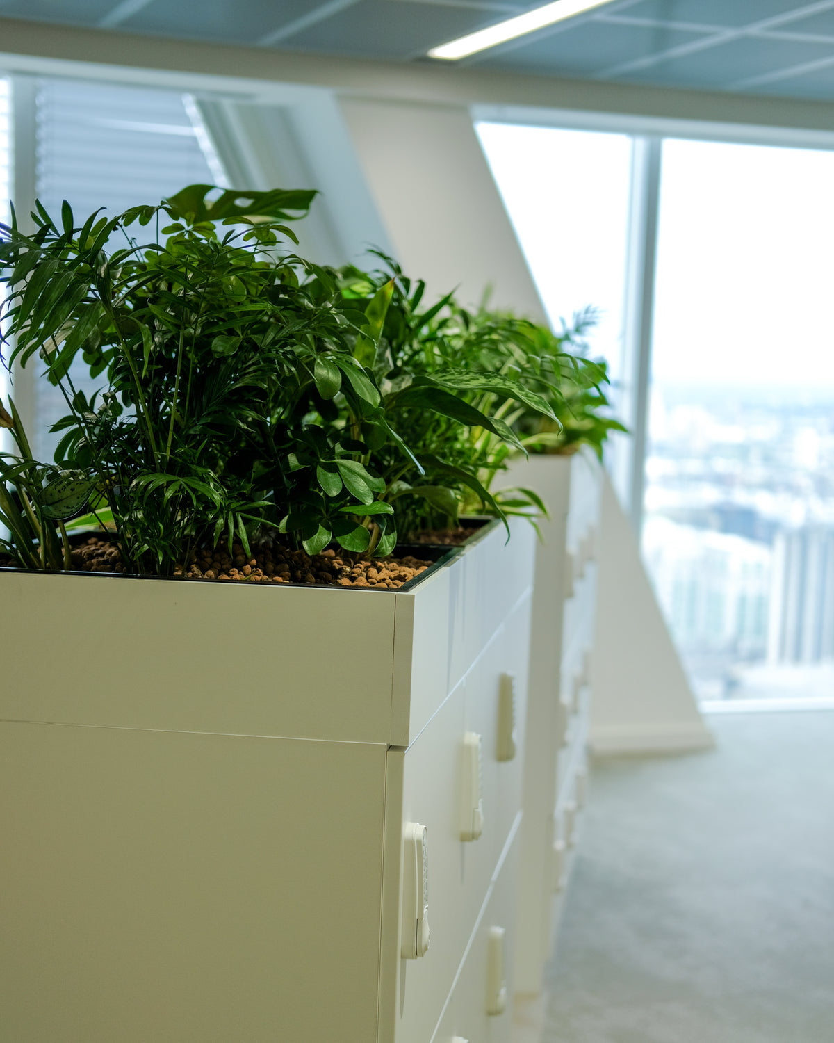 Oxera, Broadgate Tower