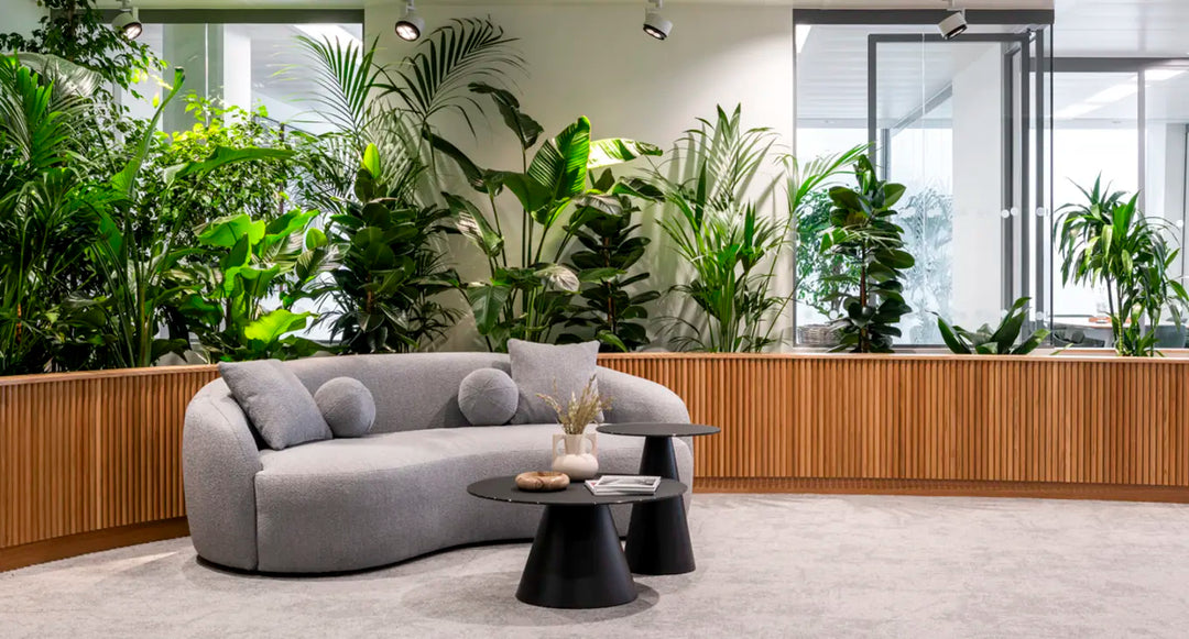office plant installation London