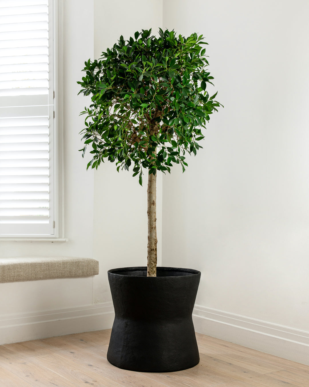 Papier-Mâché Black Planter