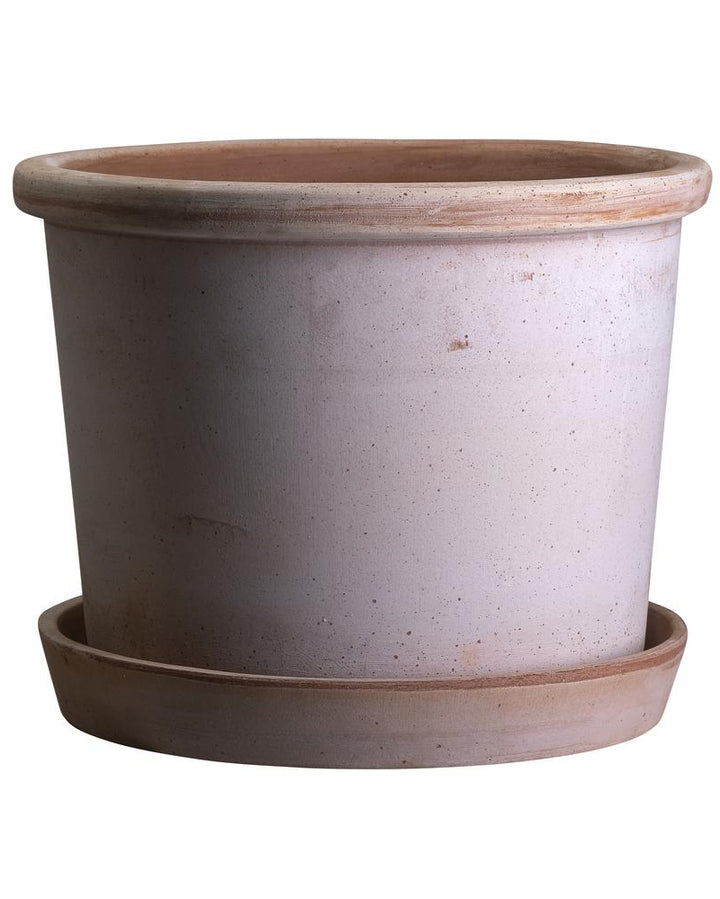 Galestro Terracotta Pots By Bergs - Plant Drop