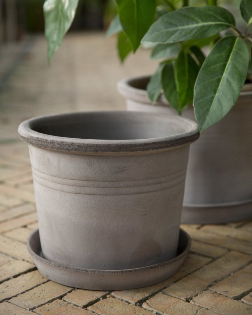 Galestro Terracotta Pots By Bergs - Plant Drop