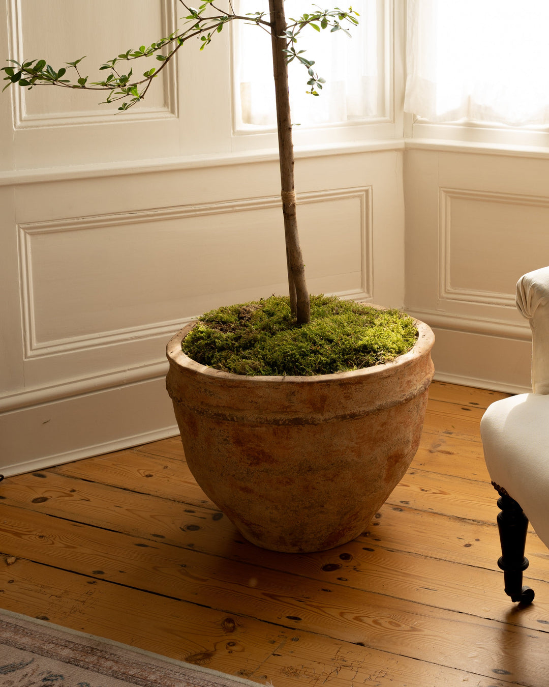 Plant Services