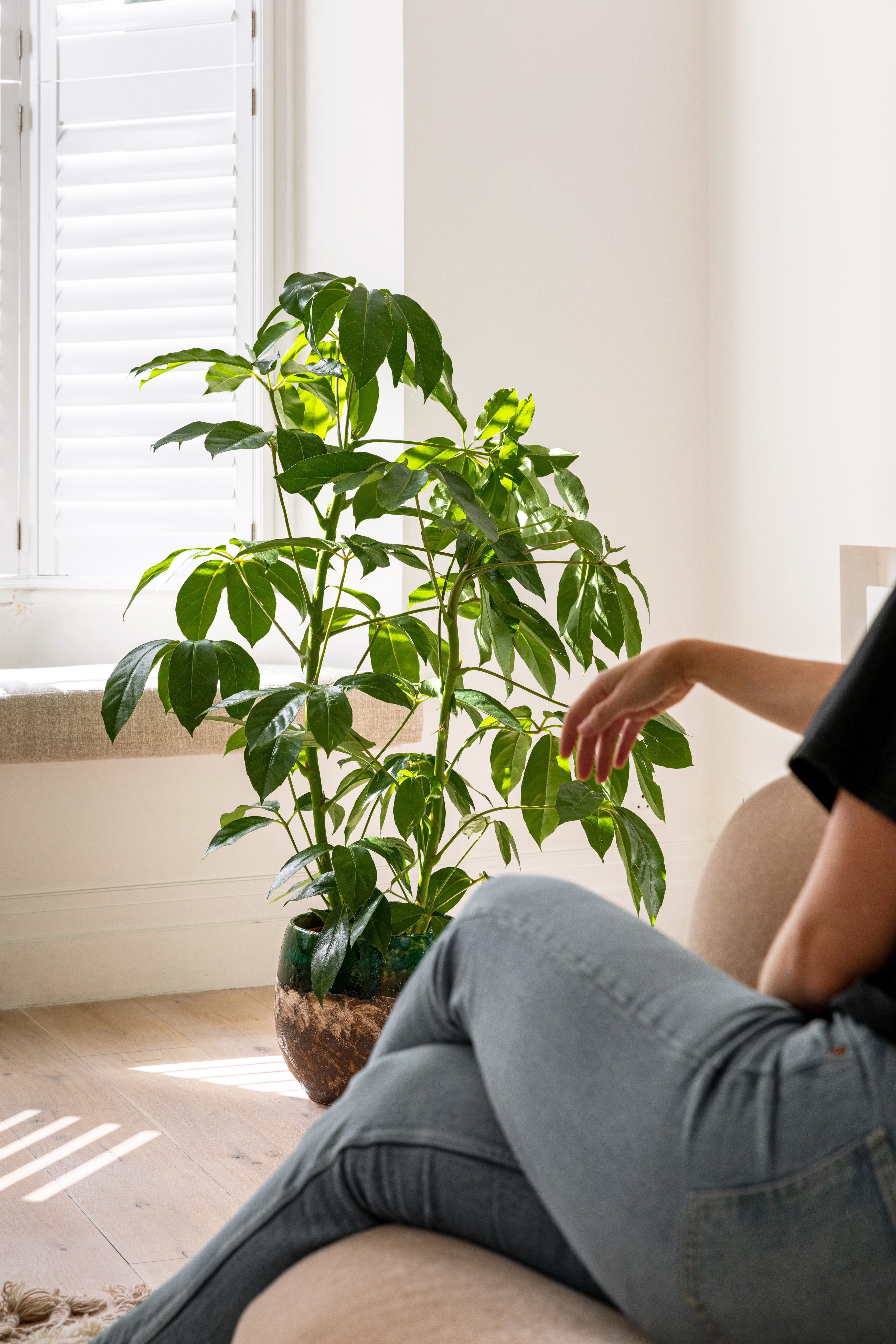 Indoor Growing Materials