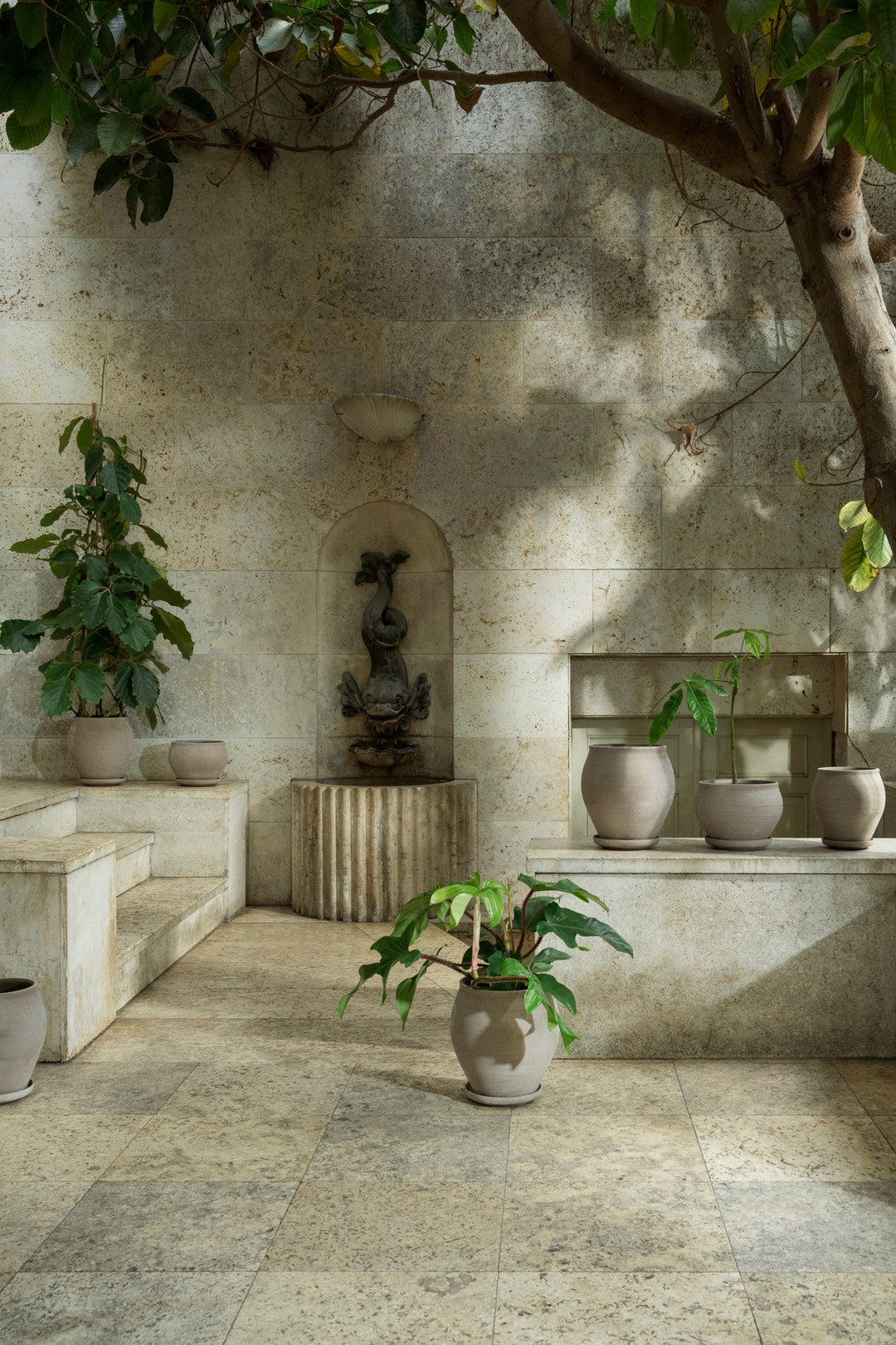 Orangery Plants