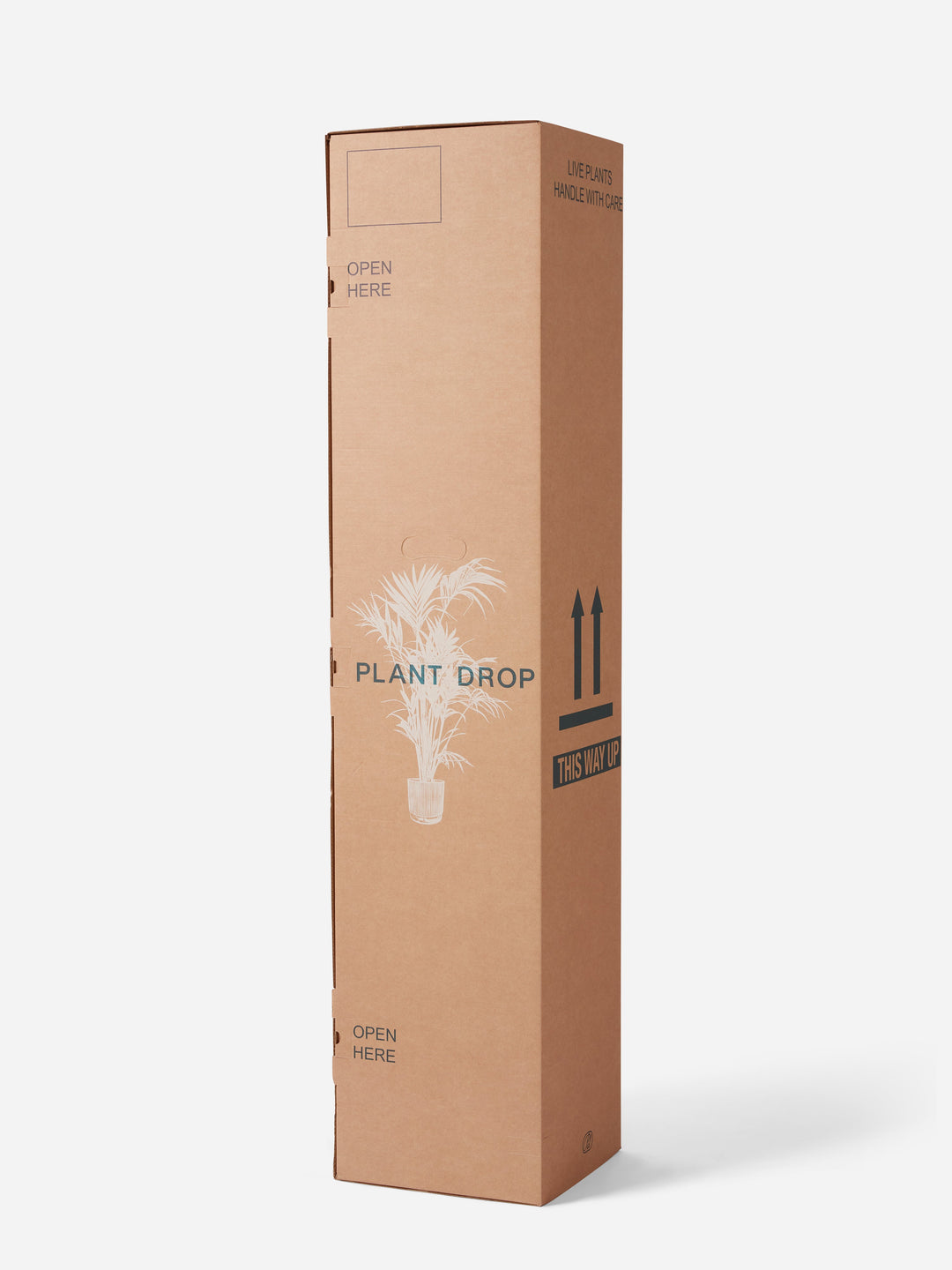 Plant Drop gift packaging — plant hand-packed in a designed delivery box with printed care guide