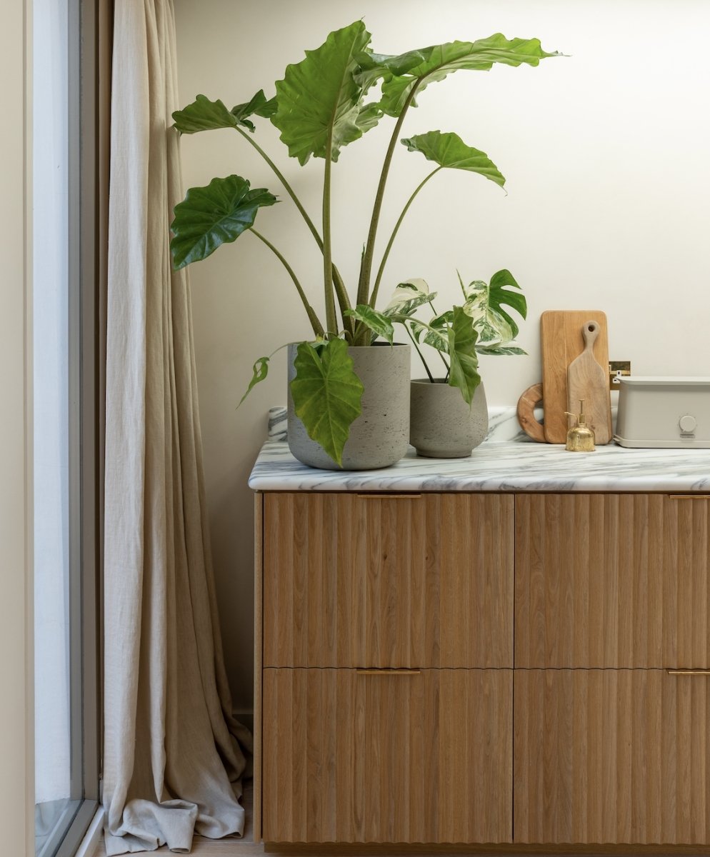 Kitchen | Plant Drop