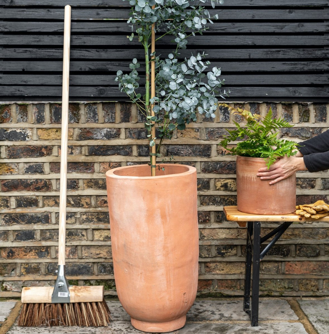 Potting Service | Plant Drop