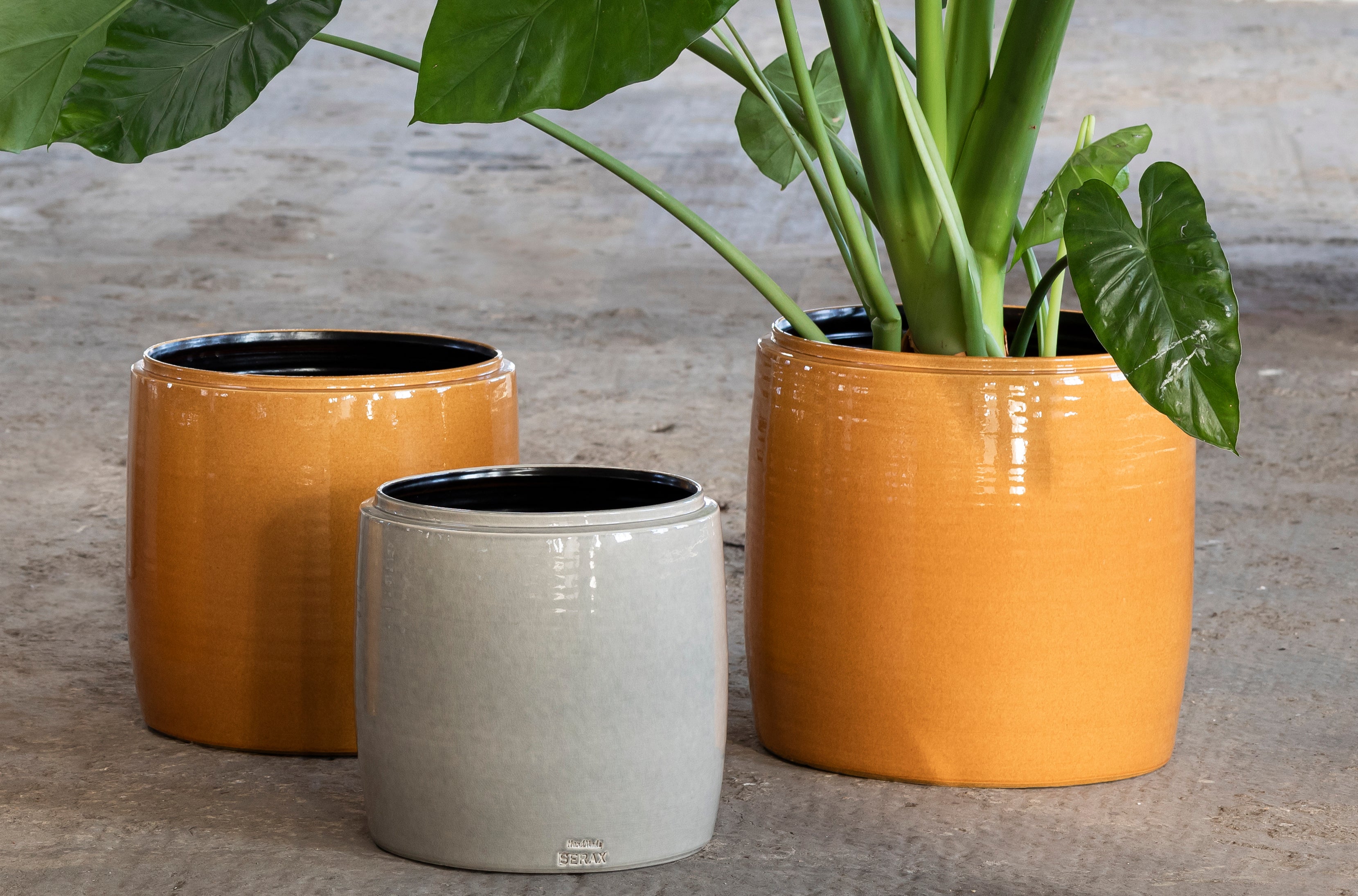 Planters