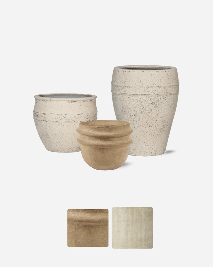 Natural 5 Piece Ready-Planted Collection