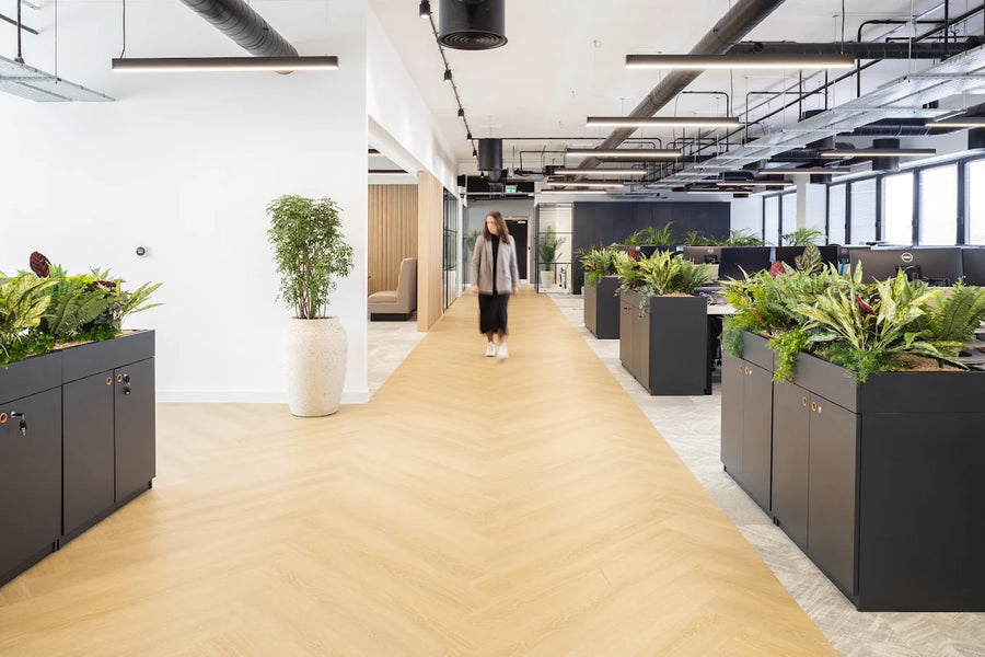 Eleanor Care Head Office