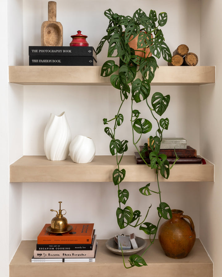 The Shelf Set