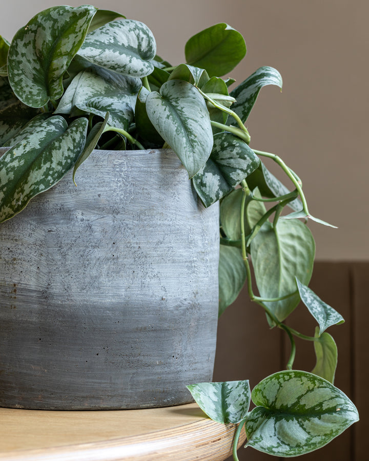 Rustic Washed Pot by Serax