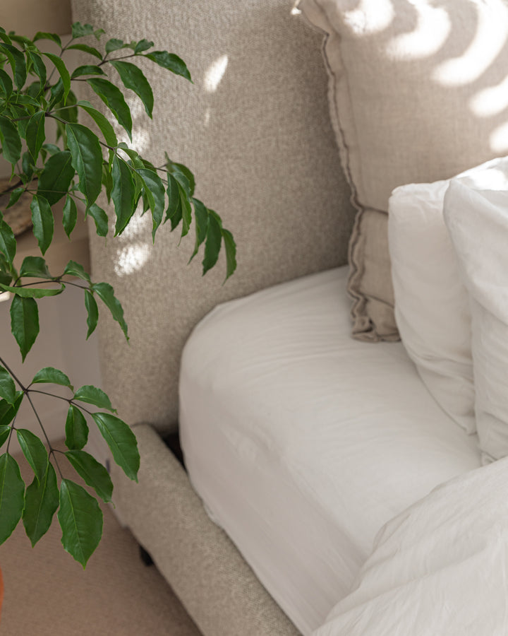 Beige sofa with white pillows and a plant in the corner