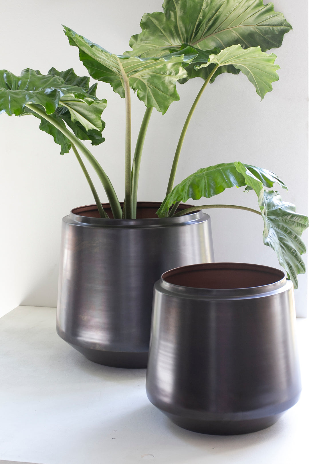 Copper Urns
