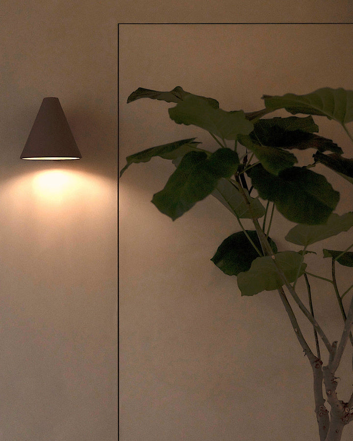 Paper-Leaf Tree