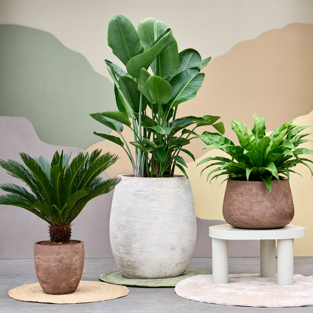 Textural Bowl Planters, Natural Stone Finish