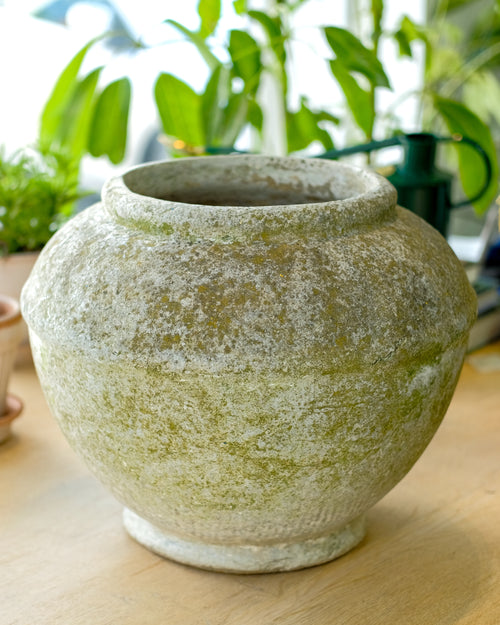 A round, textured ceramic planter pot with a distressed, weathered finish in muted green and beige tones, sitting on a light wooden surface with a blurred background of potted plants.