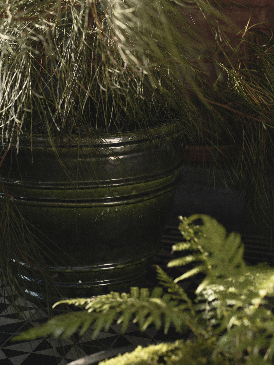 Mesa Pot