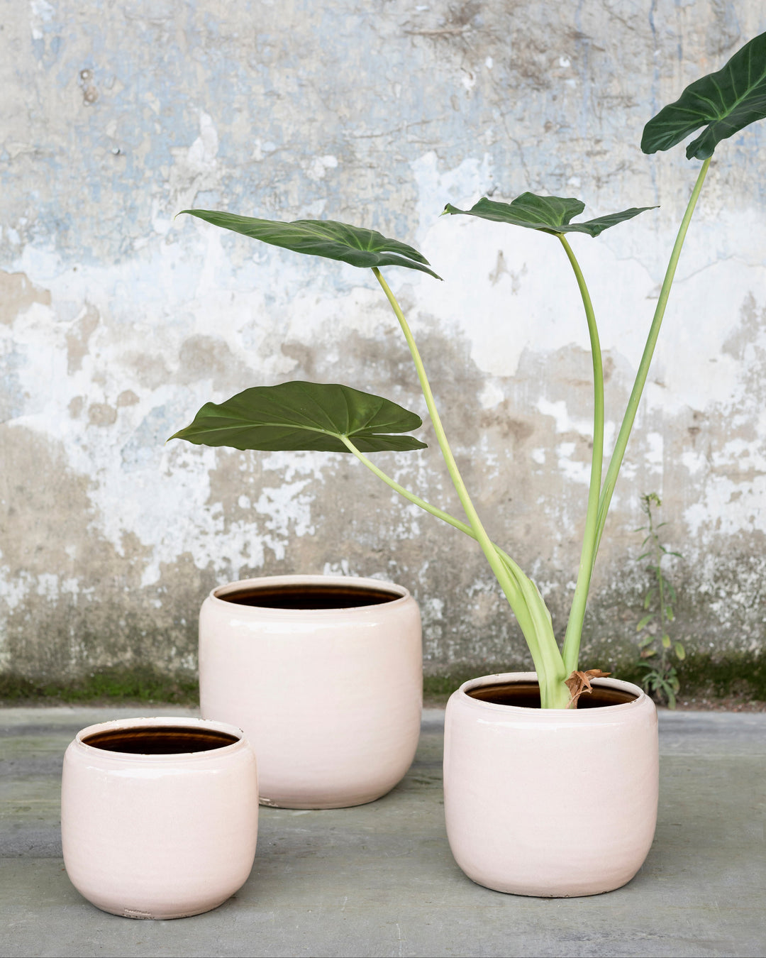 Glazed Round Pots