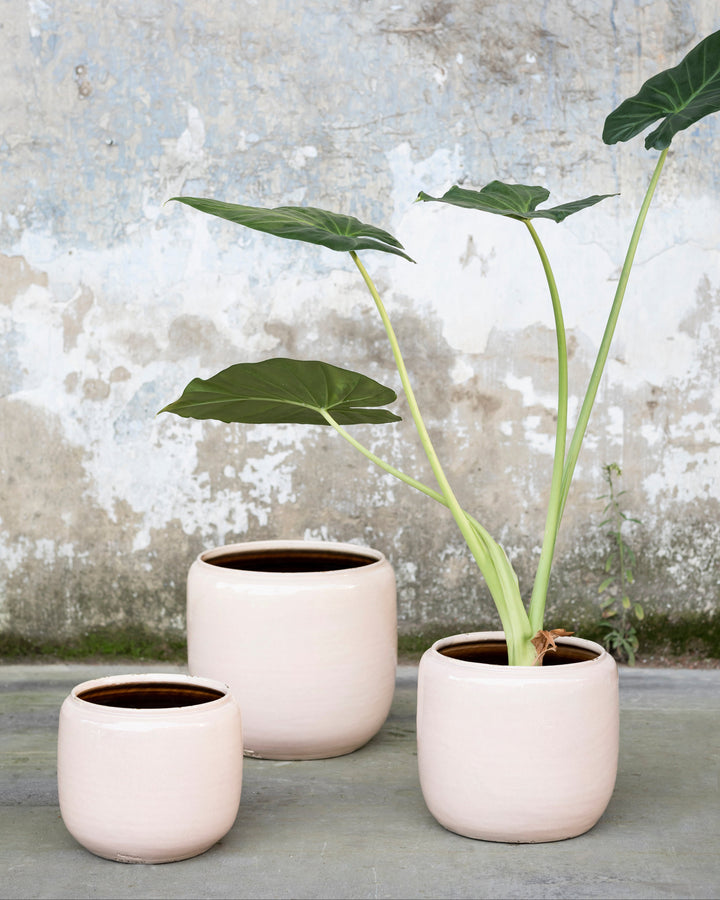 Glazed Round Pots