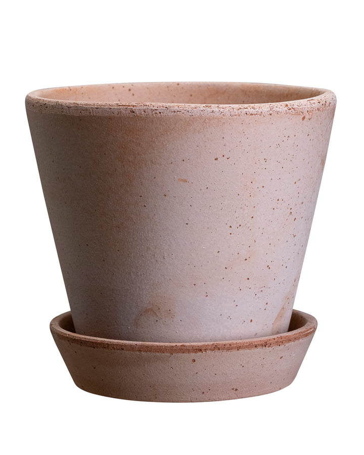 Julie Raw Rosa Pots