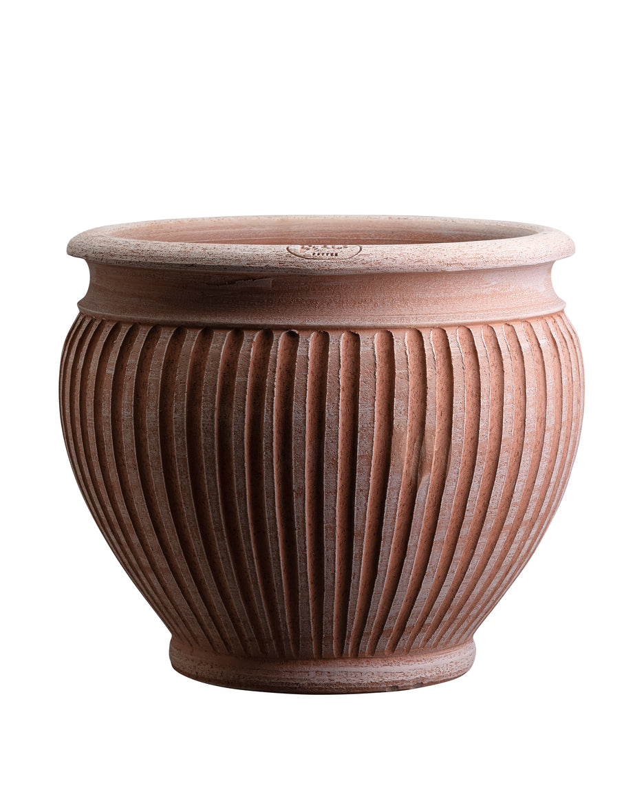 Piccolina Terracotta Pots By Bergs