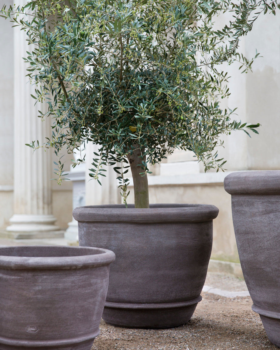 Campana Pots By Bergs