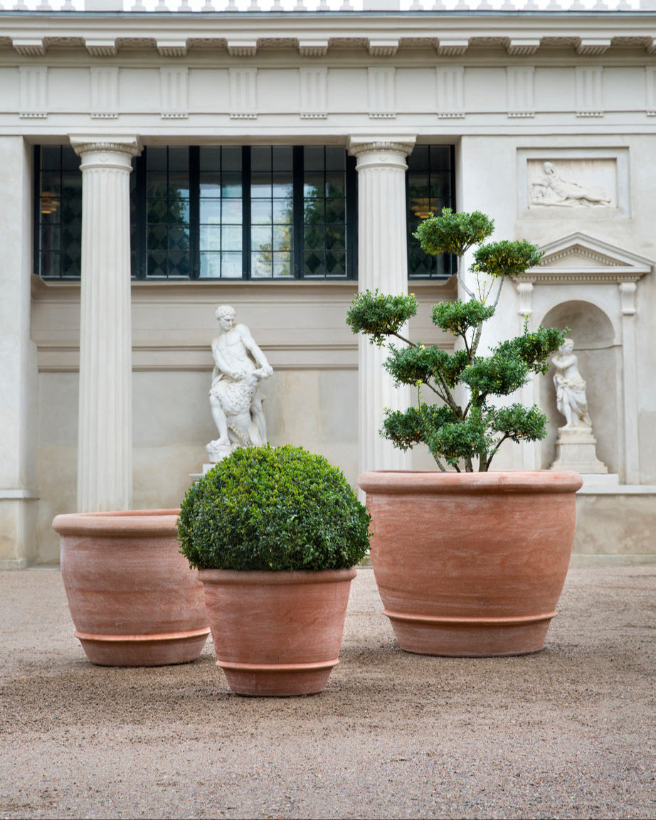 Campana Pots By Bergs