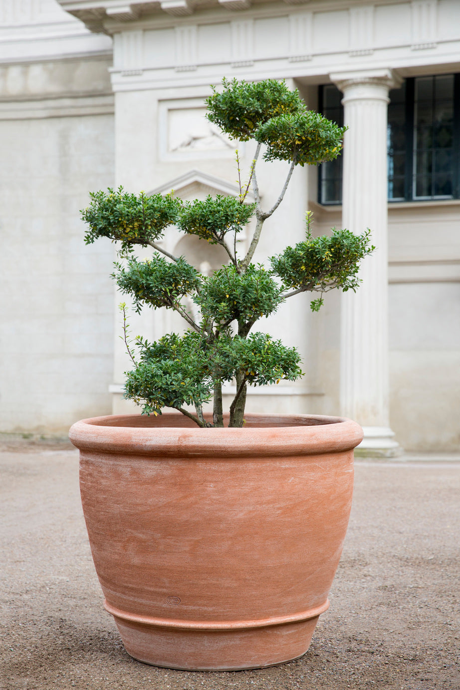 Campana Pots By Bergs