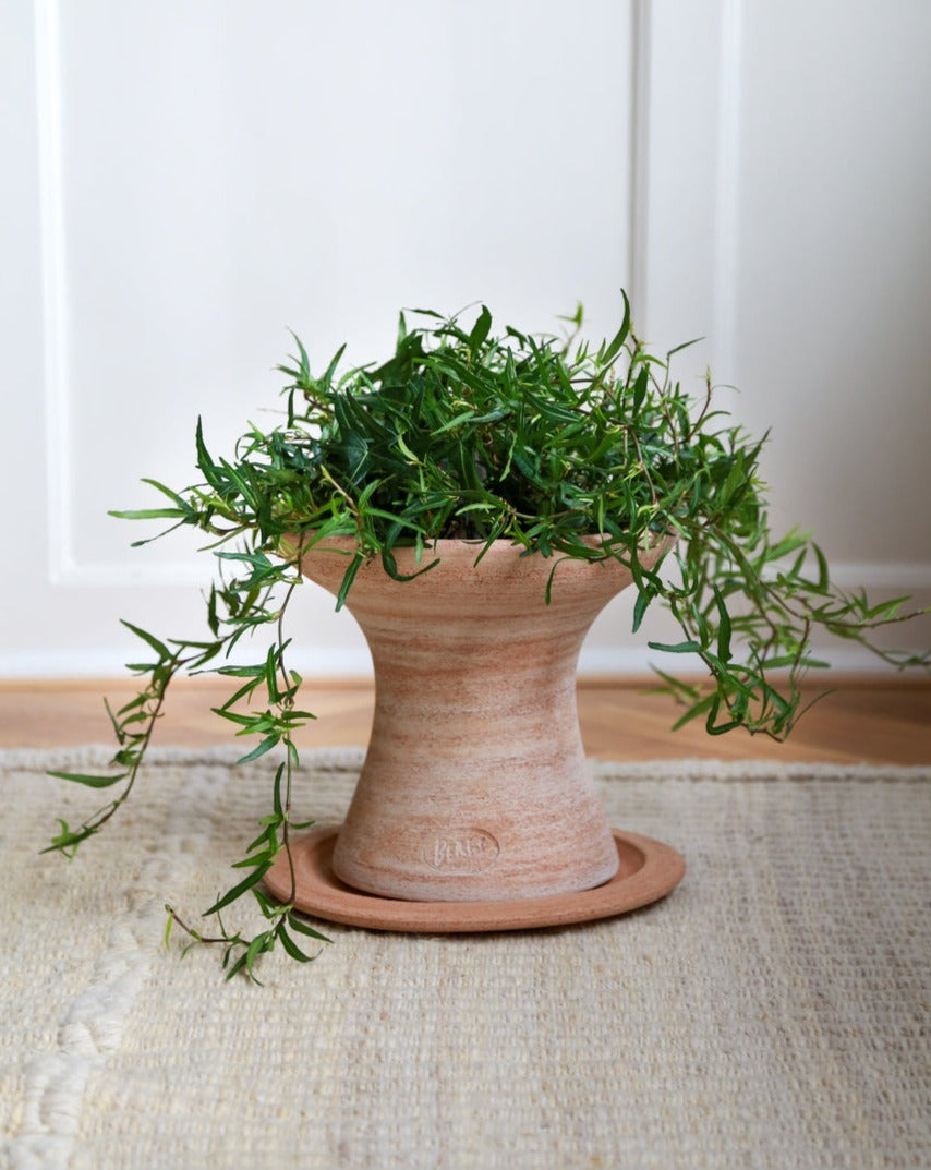 Celeste Pot or Pedestal Table