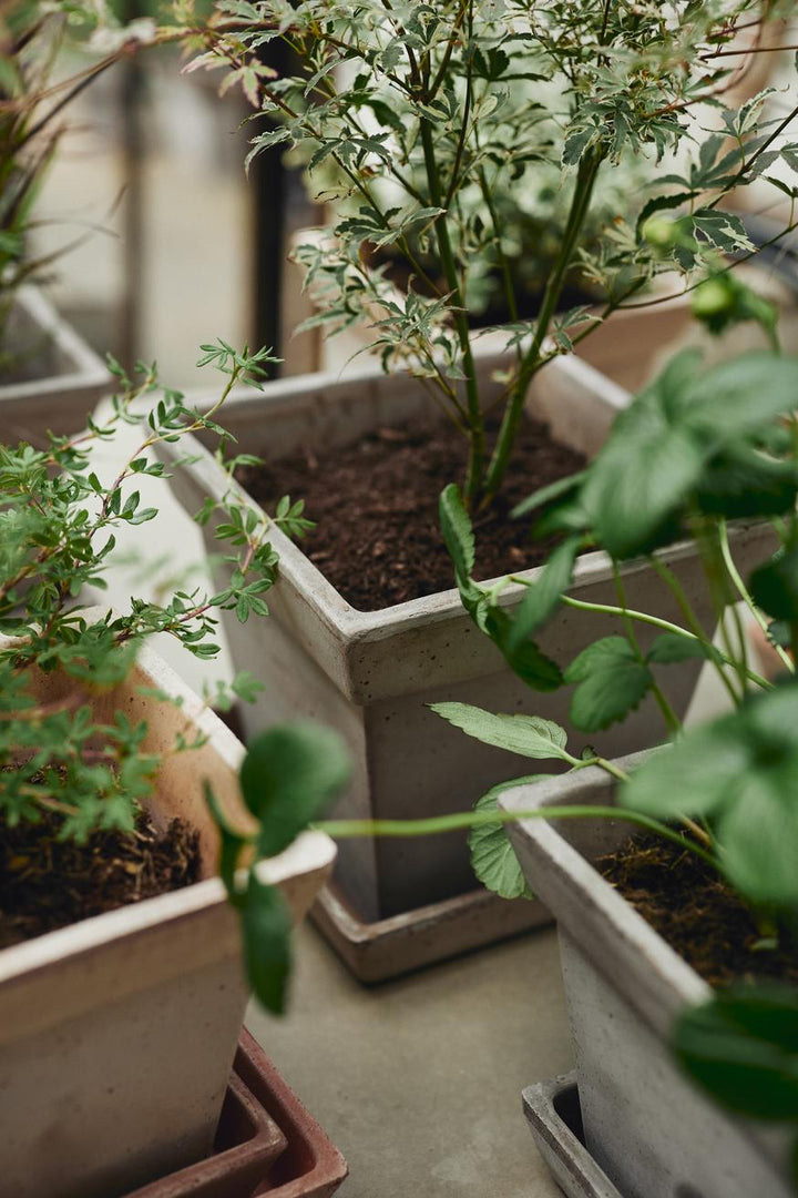 Gaia Terracotta Square Pots