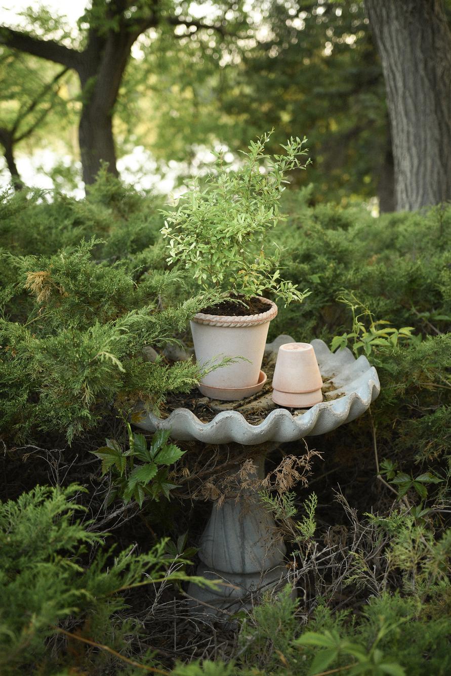 Emilia Pot