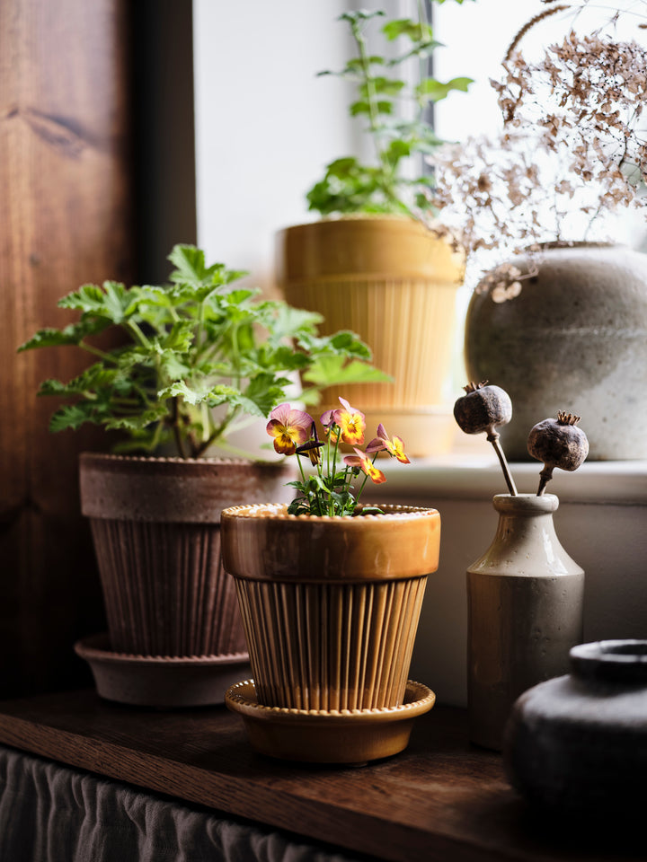 Simona Glazed Amber Yellow Pots