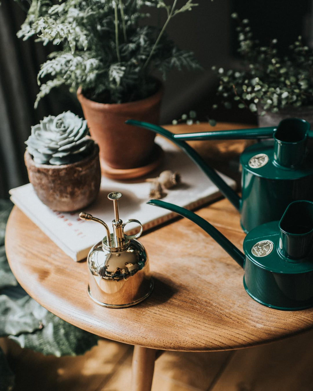 Wooden table with potted plants and two watering cans on a blurred indoor background