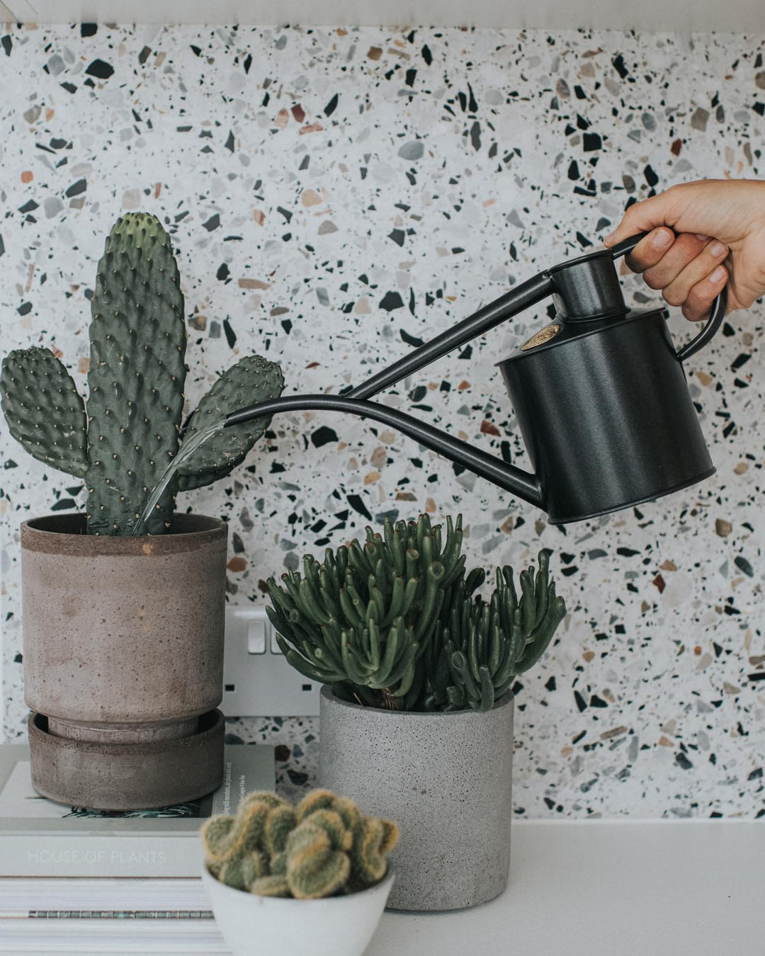 Person watering a cactus plant with a black watering can against a terrazzo-patterned wall.