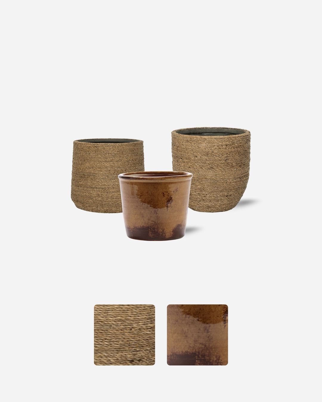 The Shelf Set — small potted plants in glazed pots, chosen to work together — Plant Drop