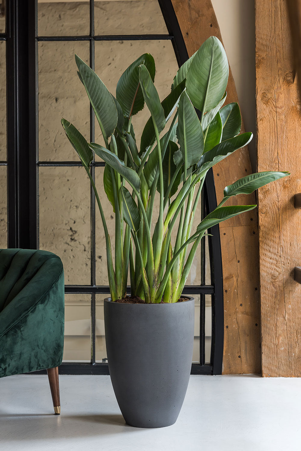 Refined Indoor Tall Vase Planters