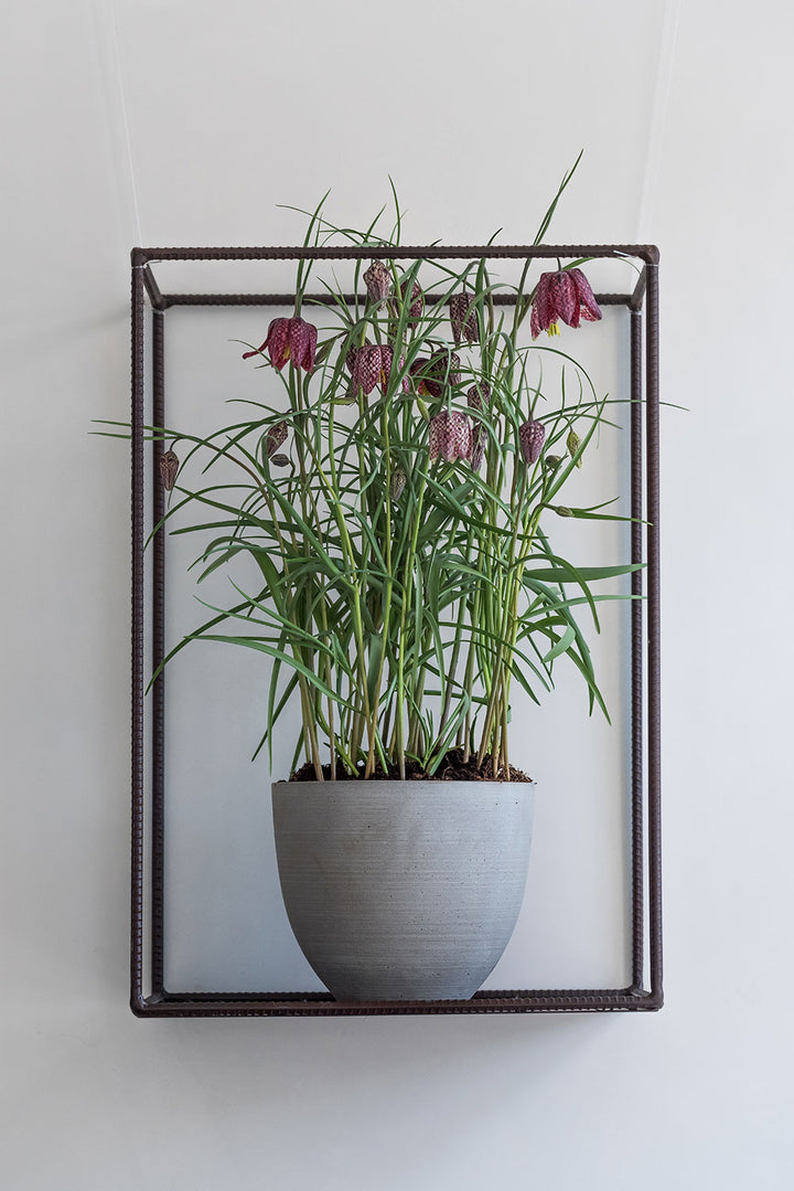 Small Refined Indoor Planters